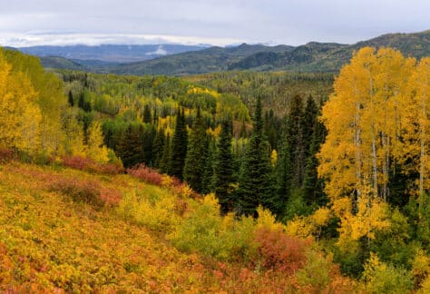 Yoga Retreat Keystone Colorado Fall